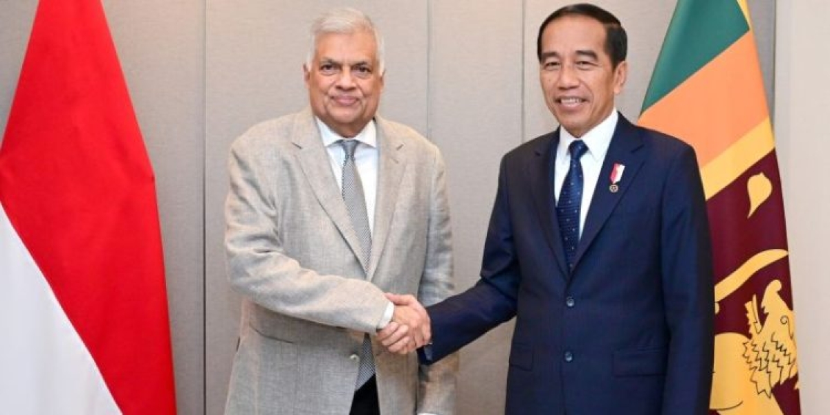 Sri Lankan President Meets Indonesian Counterpart Joko Widodo to Boost Bilateral Relations