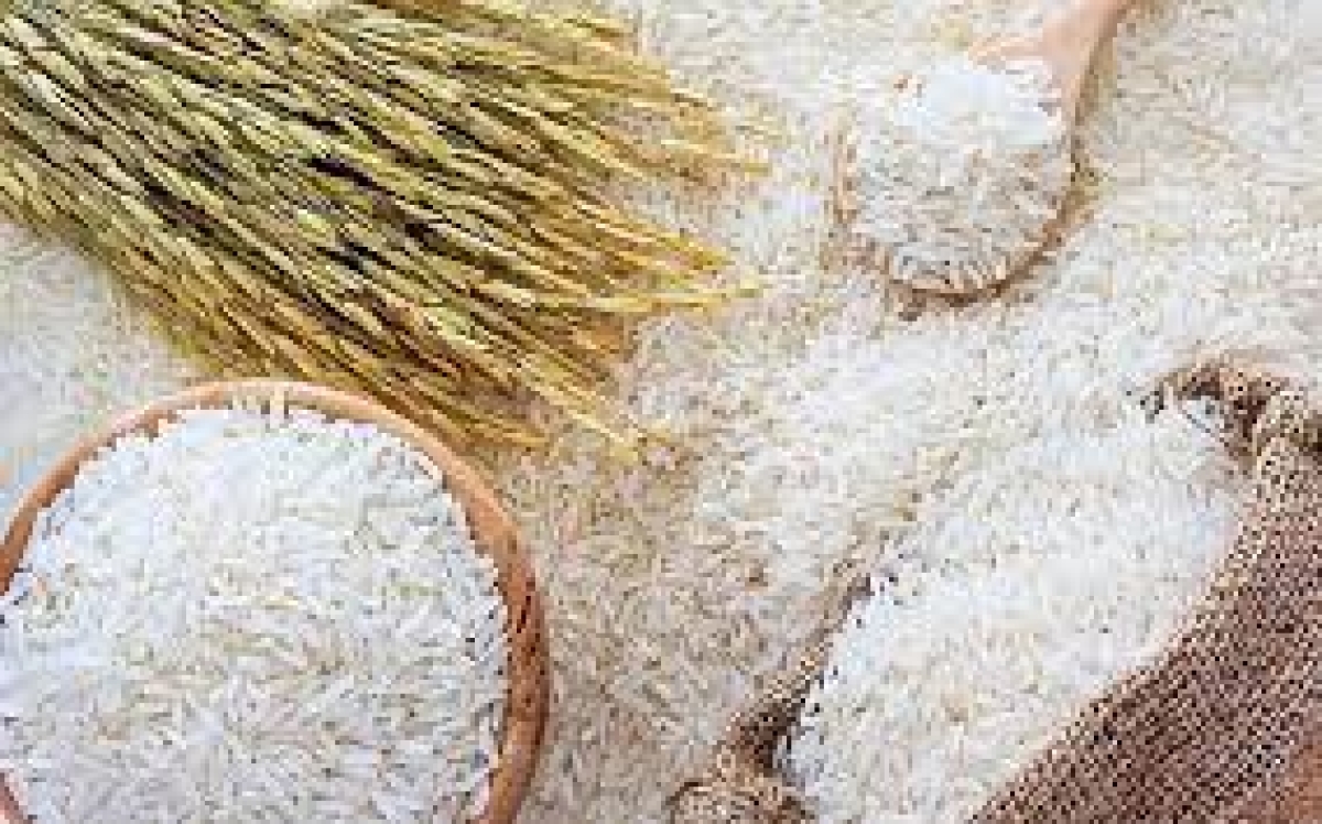 Massive Discrepancy: Paddy Marketing Board Says 700,000 Kg of Paddy Worth Rs. 700 Million Missing from Kurunegala Government Stores