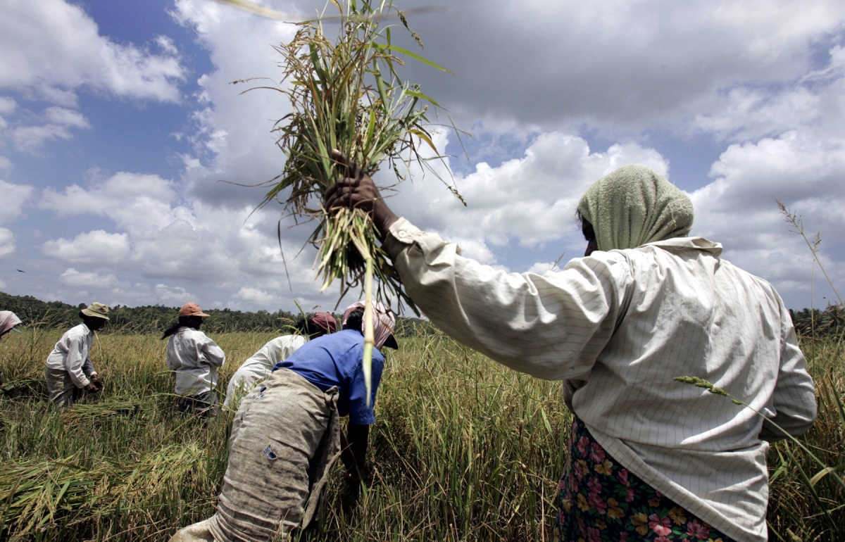 Revelation: Sri Lankan Agriculture Ministers&#039; Foreign Trips During 2015-2022 Period Cost Over 31 Million Rupees