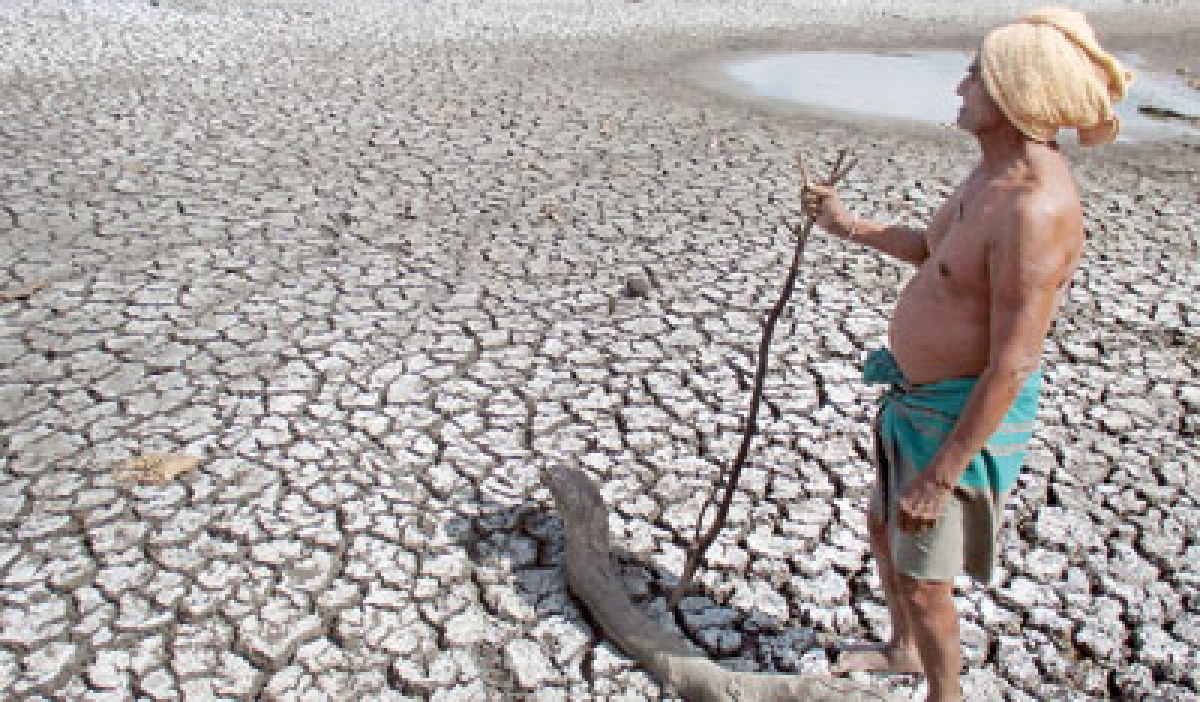 Cabinet Approves Compensation for Farmers Hit by Yala Season Drought: Nearly 54000 Farmers Severely Affected 