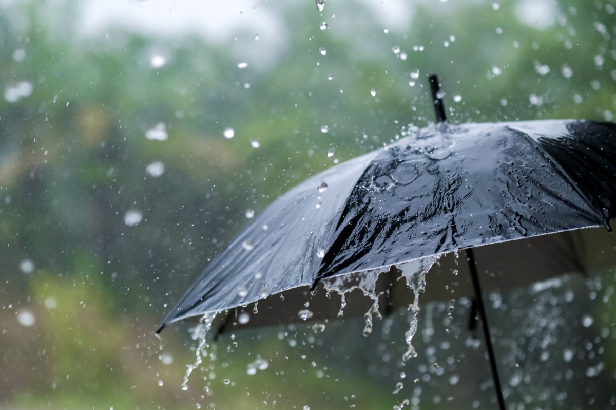 Rain and  Winds Expected In Some Areas Today