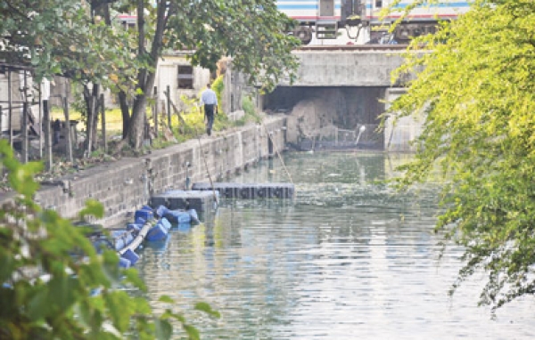 ‘No  Kunu’ – Massive Citizens’ Campaign To Clean Beira Lake Colombo: Several State Bodies, Volunteers Join Hands