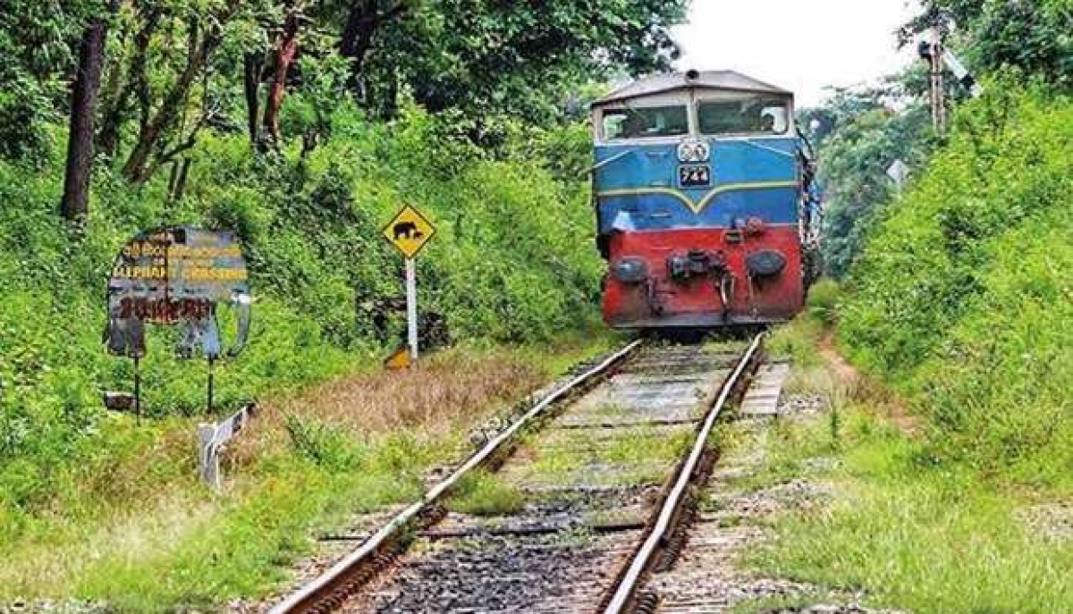 Passenger Train Derailment Disrupts Up-Country Line Services Near Keenigama