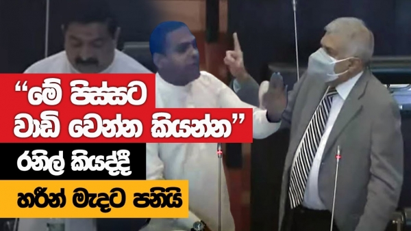 [VIDEO] &quot;Ask This Mad Man To Sit Down&quot;: Ranil Tells In Parliament Referring To SJB MP Vadiwel
