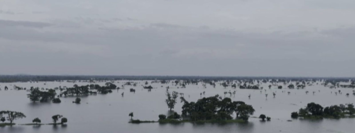 Heavy Rains Destroy Over 15,000 Acres of Agricultural Land