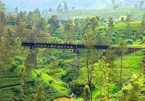 Minor Earthquake In Badulla And Haliela Areas This Morning: GSMB Issues Details Of Tremor: No Damages, Casualties Reported