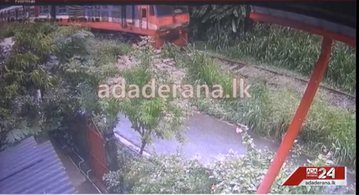 Alert Guard Averts Potential Railway Tragedy as Tree Collapses on Tracks in Maharagama 