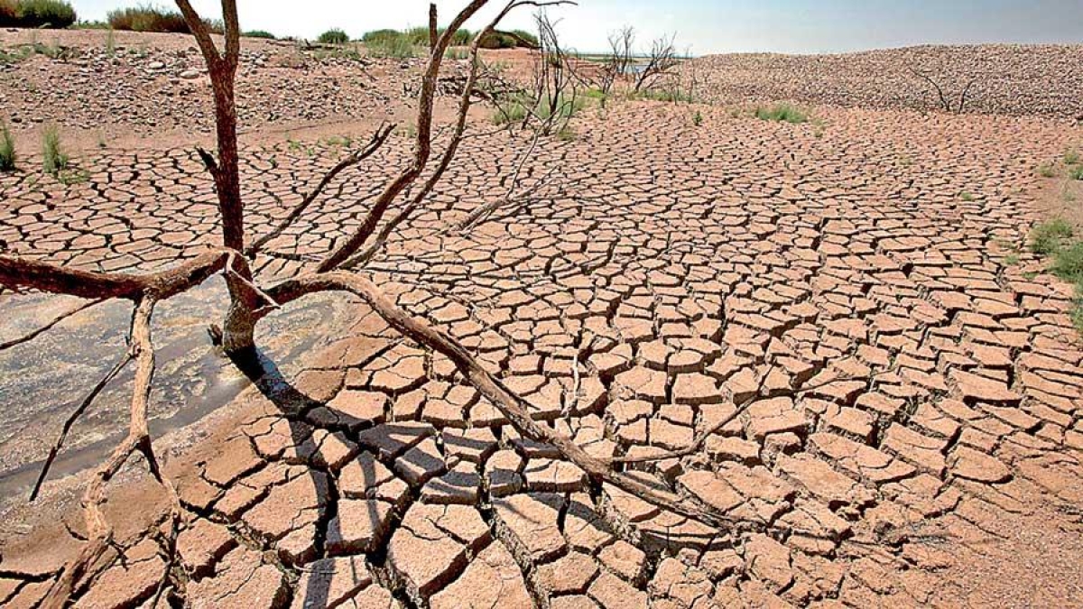 Drought Crisis: Rapidly Receding Water Levels in Hydropower Reservoirs Raise Concerns of Potential Power Cuts