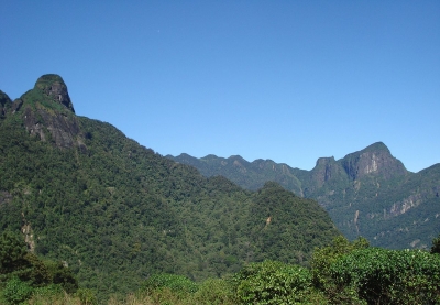 Rescue Operations Underway In Search Of Seven Hikers Who Went Missing In Knuckles Mountain Range