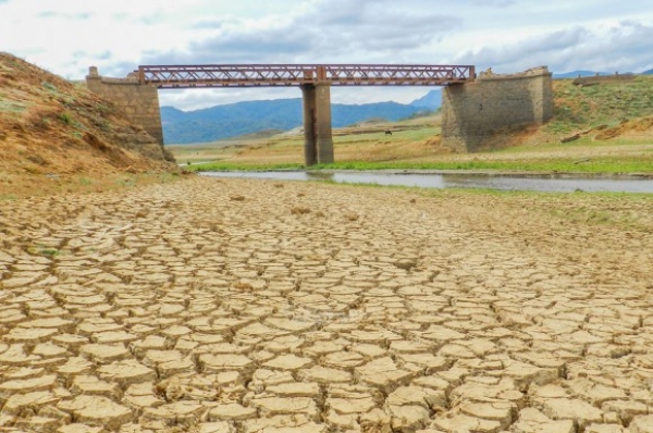 EPDP Says People In North Severely Inconvenienced By Drought: &quot;Rapid Deforestation Is The Main Reason&quot;