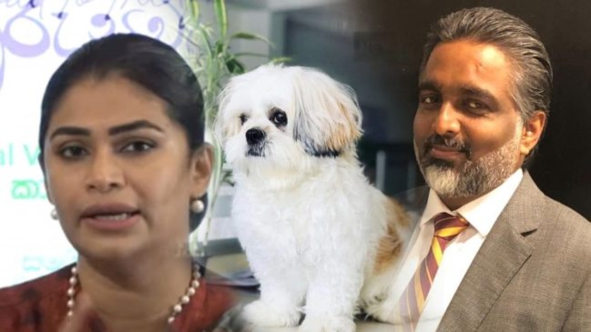 Ashu sends LoD to Hirunika and Adarsha over pet dog scandal