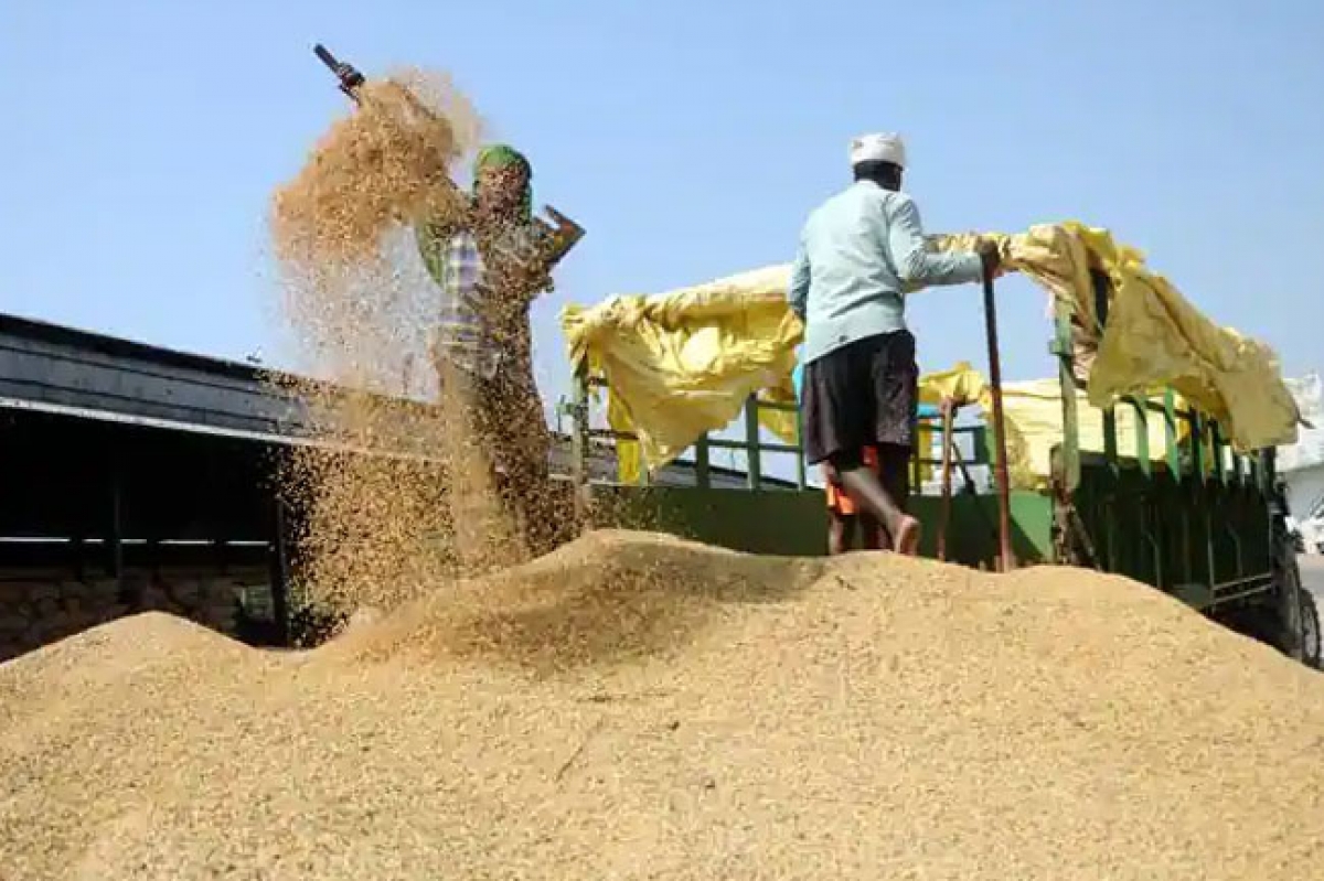 Ministry Accuses Mill Owners of Creating Artificial Rice Shortage