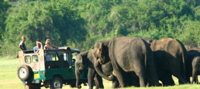 Tense Situation At Minneriya: National Park Closed After &#039;Unruly&#039; Group Assaulted Wildlife Officers: Four Hospitalized