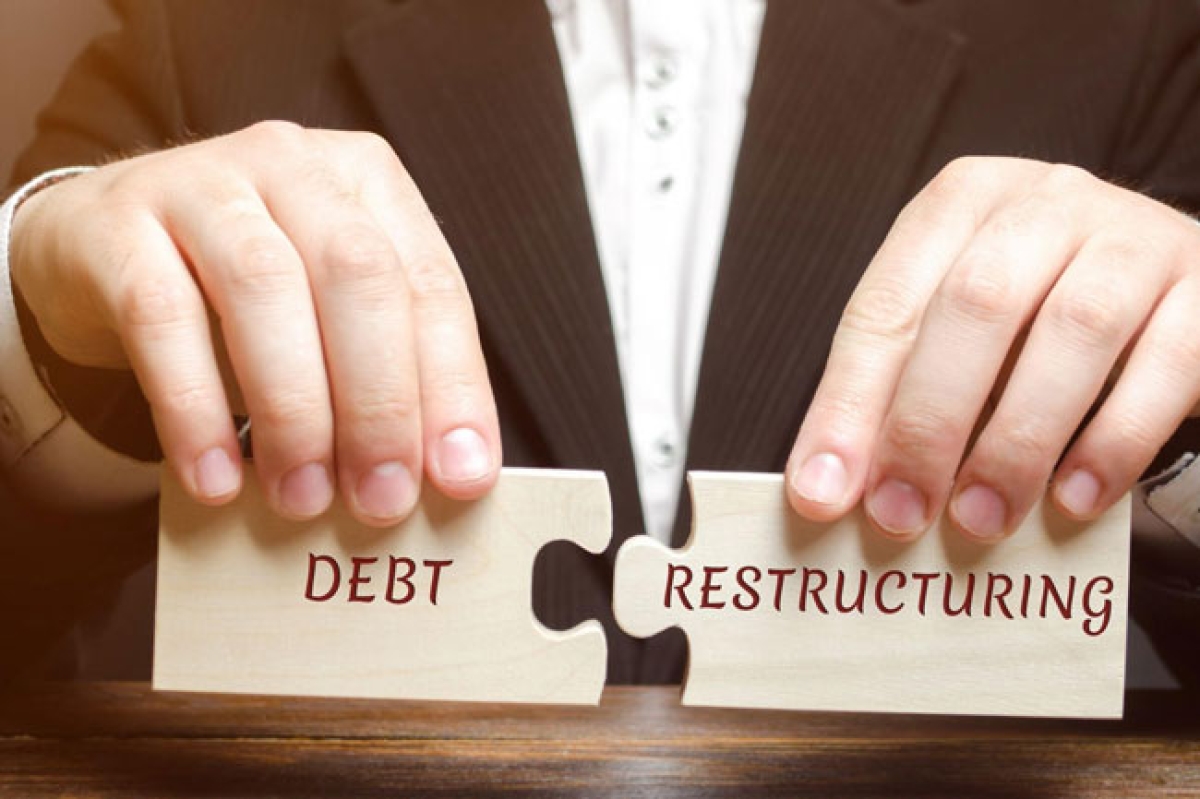 President Reveals Domestic Debt Restructuring Timeline for Sri Lanka