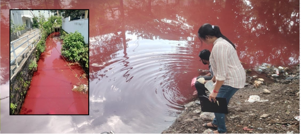 Red Water Discoloration in Ratmalana Canal: Person Arrested