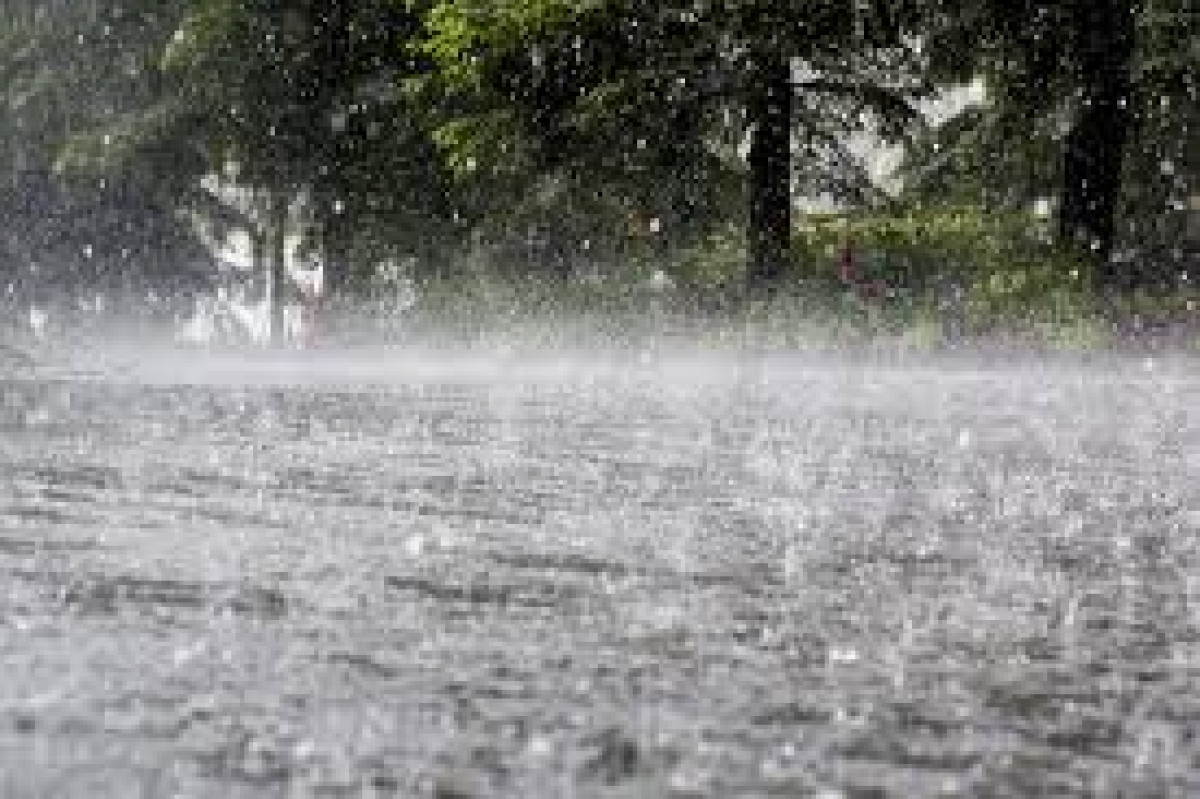 Heavy Showers Over 100 mm Expected Today