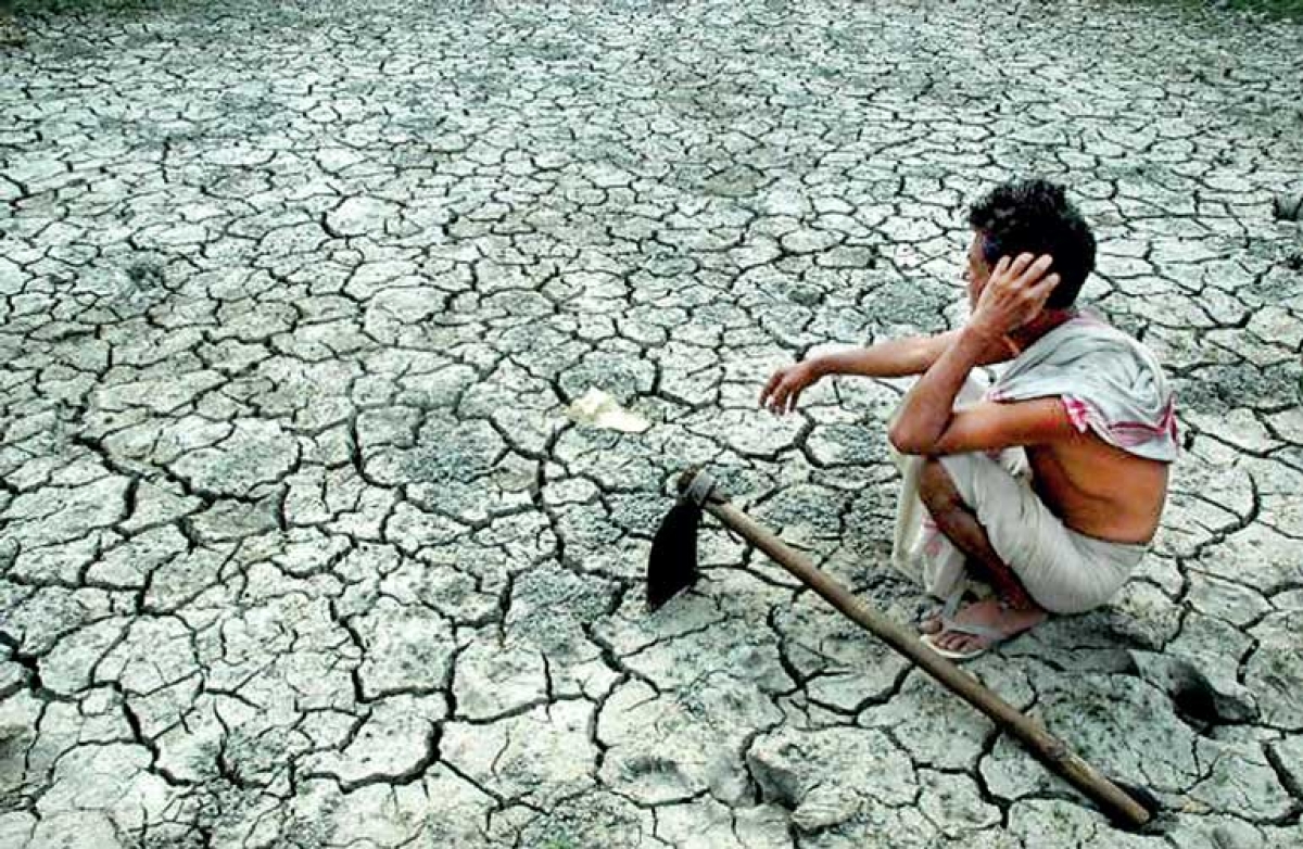 Sri Lanka&#039;s Farmers Brace for Disaster as Climate Change Alters Weather Patterns: Severe Drought Expected in the Next Yala Season Too