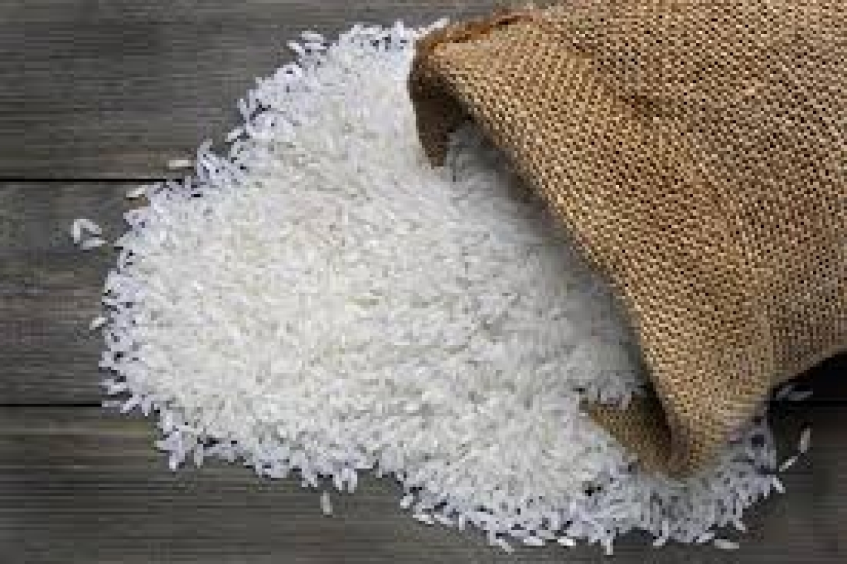 Finance State Minister Addresses Rice Import Speculation, Clarifies Government Stance