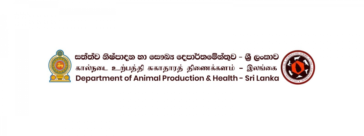 Leftover Food from Ships and Planes Leads to African Swine Fever Outbreak in Sri Lankan Farms