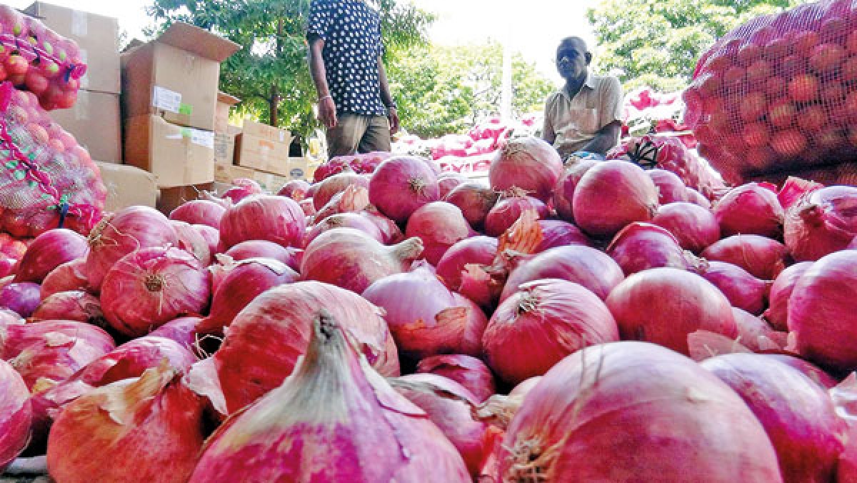 Big Onion Importers Agree on Price Range Following Talks with Trade Minister
